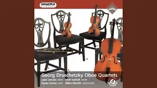 Oboe Quartet in G minor (g-moll oboan&eacute;gyes) : I. Adagio. Allegro