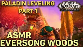 WoW Eversong Woods - Paladin Leveling Part 1 | Immersive & ASMR Gameplay - Shadowlands