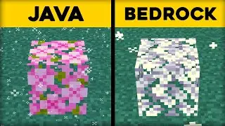 50 Java VS Bedrock Things in Minecraft