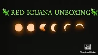 💕RED IGUANA🦎 UNBOXING💕