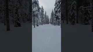 🇫🇮 This is Finnish-Lapland StYle Cross-country #crosscountryskiing  🤍💙🤍