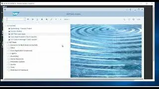 Как получить доступ к графическому интерфейсу SAP HANA/S4HANA и FIORI через удаленный доступ к ра...