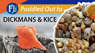 Shelling Dickmans & Kice❤️