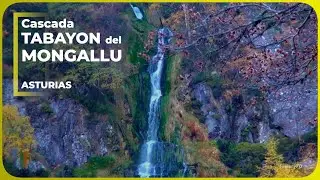 🌲Ruta Tabayón del Mongallu | Turismo ASTURIAS