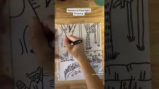 Nocturnal Flashlight Drawing