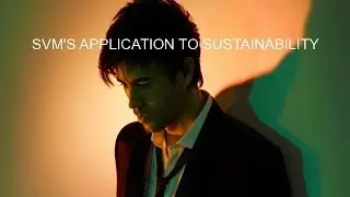 SVM'S APPLICATION TO SUSTAINABILITY