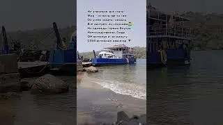 🇷🇺Трафик🇮🇳 #shorts #гоа #индия #river #transport #morning #travel #russia #boat