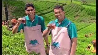 Dilmah - Unblended Single Origin Tea