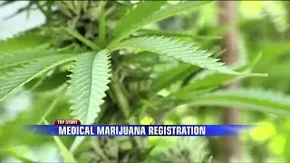 Struggles of Obtaining Med. Marijuana Certification