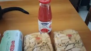 Grocery Haul under &euro;10 and ingredients to make 3 meals featuring my 2 cats