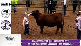 2026 Cattleman's Congress - Beefmaster Junior Show