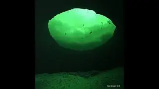 Discoveries Underwater | Warm Mineral Springs | Florida, USA