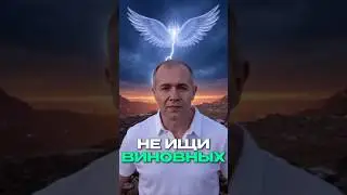 Не ищи виноватых