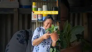 #adulting #flowers #pots #happiness #beautiful #therapy #youtubeshorts #fun #shopping #mud #love