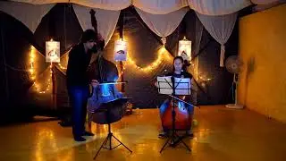 String duet rehearsal: cello and double bass in Goa