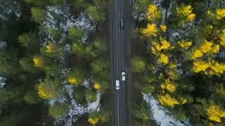 Turkey Forest drone footage with relaxing music raw video without any edit