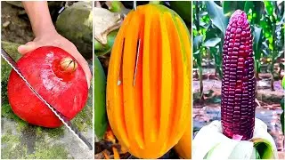 Oddly Satisfying Ninja Fruit Cutting || Farm Fresh Fruit Cutting Skills #12 Asmr