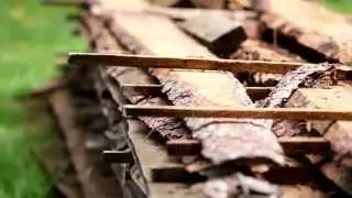 1122 Piled sawmaterial  pine lumber in one area