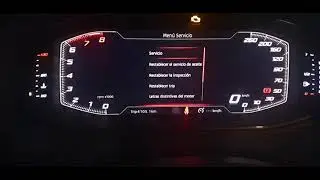 resetear inspección seat leon 1.5 año 2019