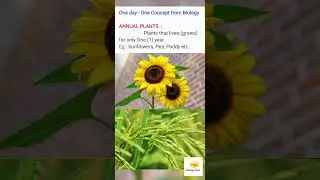 ANNUAL PLANTS (One day - One Concept from Biology)