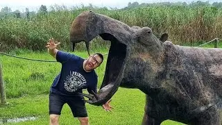 Things To Do In Gauteng / Modderfontein Bird and Sculpture Park