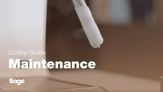 The Oracle&trade; Touch | How to clean and unblock your steam wand | Sage Appliances UK