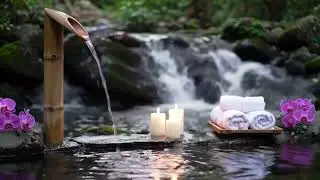 Zen Mountain Air Serenity Bamboo Fountain and Candlelight with Sky Silence for Relaxation, Meditatio