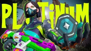 Streaming after Ages with no Aim | FuRYKINGYT
