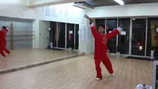 楊式太極扇