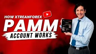 How does Xtreamforex&rsquo;s PAMM account work | Xtreamforex |