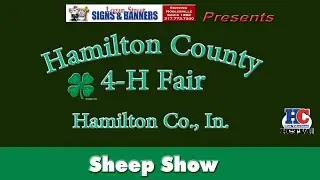 4-H Sheep Show | Sponsored by Peterson Architecture | Sunday | 2025