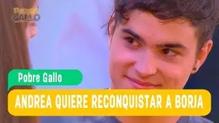 Pobre Gallo - Andrea y Borja Capítulo 65