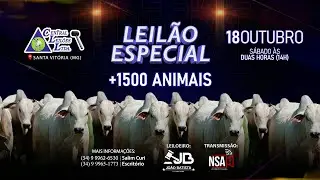 🌾  Leilão Especial Carga Fechada  - Central Leilões - Santa Vitória (MG) - 18 de OUTUBRO