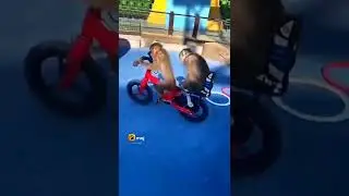 do bandar cycle par lol