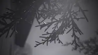 Shining Wire : Dark Country Road