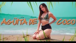 AG&uuml;ITA DE COCO ( Video Oficial) PEPE GOMEZ Y SU GPO. UNION 82 Ft. MAGIA SANJUANERA