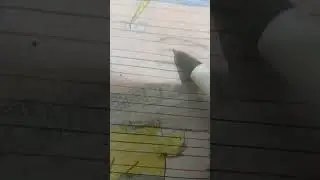 naroto miaty shadclone jujsu