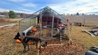 Геотермальная поилка для кур — ОБНОВЛЕНИЕ! // Whitt Acres