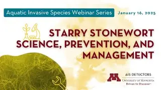 Webinar: Starry stonewort science, prevention, and management
