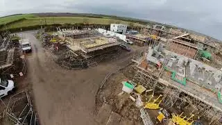 Lunch time fly. Annoying the brickies