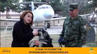 Mingchinor 9-soni | Abdurahmon Chulonbayev - 13 yil ichida 150 ta xizmat itini tayyorlagan kinolog