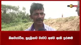 නිකවැරටිය, හුදලියාව වැවට අත්ව ඇති ඉරණම