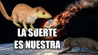 🙀 😿 ¿Por qué los MAMIFEROS  no se extinguieron con el METEORITO?  #Suertudos 🦕🦖