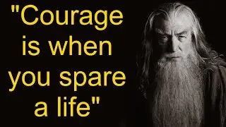 You Don't Know What True Courage Is! Best Quotes  | Gandalf