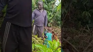 Coffee farmer small interview. Victoria basin uganda