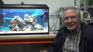 Acuario nuevo (sin ciclado) con HYDRA