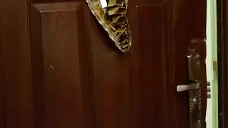 Pri rekonštrukcii bytu nepodľahnite lacnej reklame