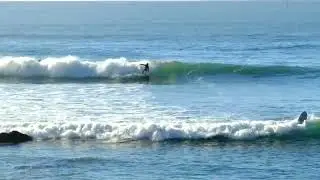 Point Arena, Ca surfers
