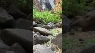 Barranco de Masca Masca Schlucht Gregoriostrekking 2023