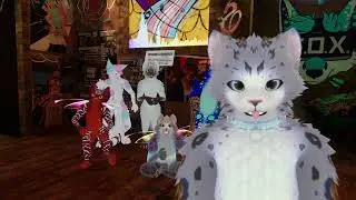 Testing Vseeface with Meowface App
